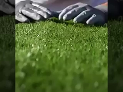Artificial Grass